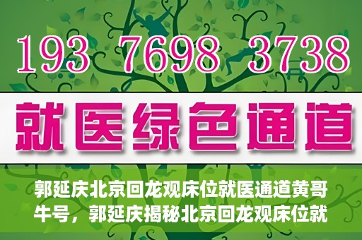 郭延庆北京回龙观床位就医通道黄哥牛号，郭延庆揭秘北京回龙观床位就医通道，黄哥牛号行动开启