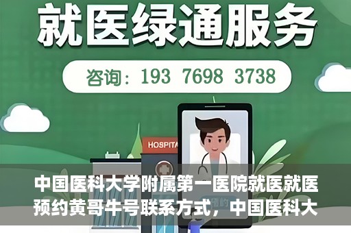 中国医科大学附属第一医院就医就医预约黄哥牛号联系方式，中国医科大学附属第一医院就医预约指南，黄哥牛号联系方式揭秘