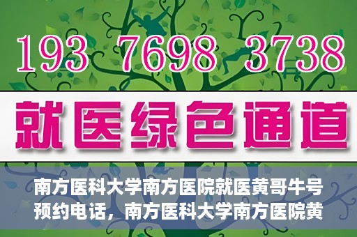 南方医科大学南方医院就医黄哥牛号预约电话，南方医科大学南方医院黄哥牛号预约电话详解，轻松就医新选择
