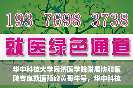 华中科技大学同济医学院附属协和医院专家就医预约黄哥牛号，华中科技大学同济医学院附属协和医院专家就医预约系统，黄哥牛号助您轻松预约专家号