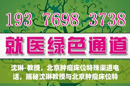 沈琳-教授，北京肿瘤床位特殊渠道电话，揭秘沈琳教授与北京肿瘤床位特殊渠道电话的幕后故事