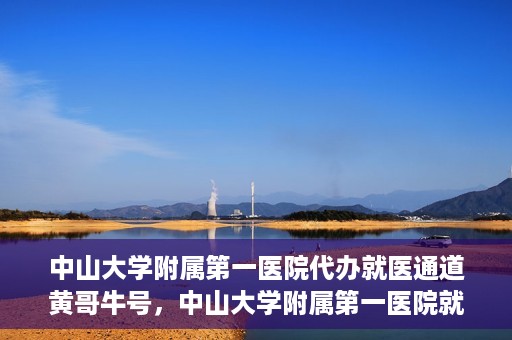 中山大学附属第一医院代办就医通道黄哥牛号，中山大学附属第一医院就医通道代办服务，黄哥牛号助您便捷就医