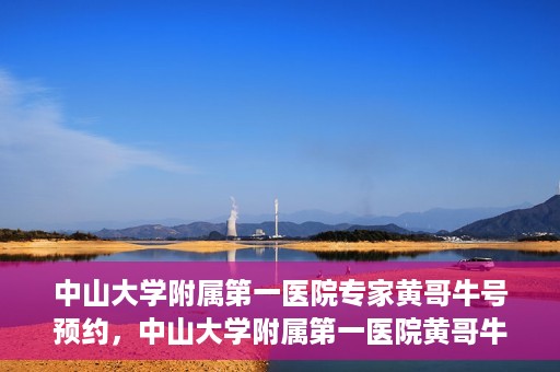 中山大学附属第一医院专家黄哥牛号预约，中山大学附属第一医院黄哥牛专家号预约攻略
