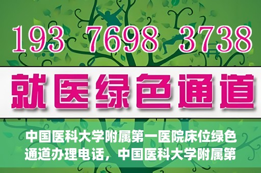 中国医科大学附属第一医院床位绿色通道办理电话，中国医科大学附属第一医院床位绿色通道咨询热线揭秘