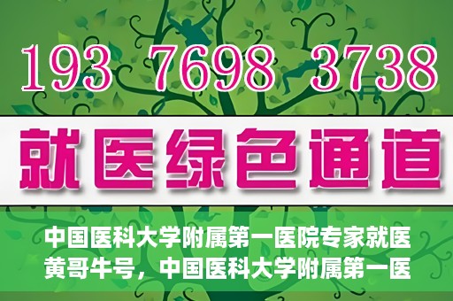 中国医科大学附属第一医院专家就医黄哥牛号，中国医科大学附属第一医院专家黄哥牛号解析就医攻略