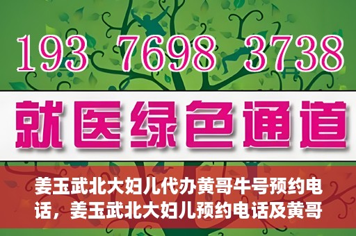 姜玉武北大妇儿代办黄哥牛号预约电话，姜玉武北大妇儿预约电话及黄哥牛号预约信息详解