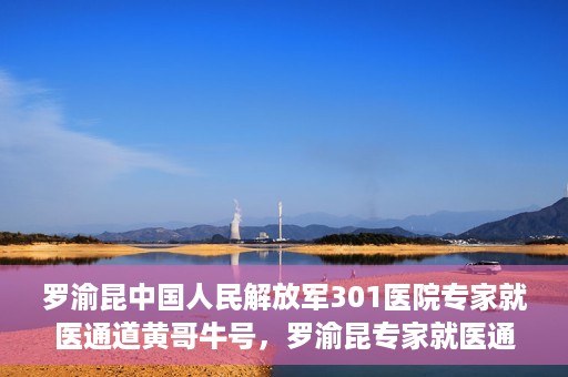 罗渝昆中国人民解放军301医院专家就医通道黄哥牛号，罗渝昆专家就医通道揭秘，中国人民解放军301医院黄哥牛号引领健康之路