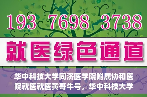 华中科技大学同济医学院附属协和医院就医就医黄哥牛号，华中科技大学同济医学院附属协和医院就医黄哥牛号解析与体验