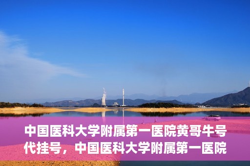 中国医科大学附属第一医院黄哥牛号代挂号，中国医科大学附属第一医院黄哥牛号代挂号服务详解