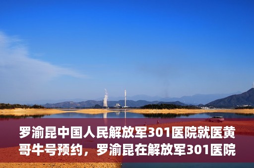 罗渝昆中国人民解放军301医院就医黄哥牛号预约，罗渝昆在解放军301医院就医，黄哥牛号预约攻略