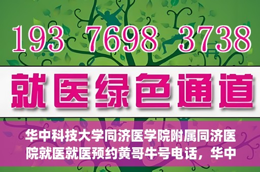 华中科技大学同济医学院附属同济医院就医就医预约黄哥牛号电话，华中科技大学同济医院就医预约指南，黄哥牛号电话全解析