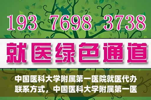 中国医科大学附属第一医院就医代办联系方式，中国医科大学附属第一医院就医代办服务联系方式及流程解析