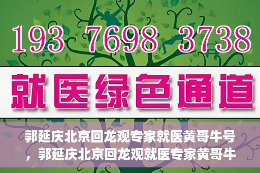 郭延庆北京回龙观专家就医黄哥牛号，郭延庆北京回龙观就医专家黄哥牛号揭秘，专业医术与人文关怀的双重优势
