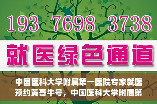 中国医科大学附属第一医院专家就医预约黄哥牛号，中国医科大学附属第一医院专家黄哥牛号预约就医攻略