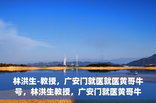 林洪生-教授，广安门就医就医黄哥牛号，林洪生教授，广安门就医黄哥牛号的探索与实践