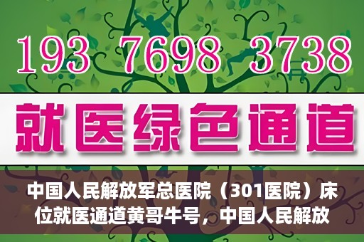中国人民解放军总医院（301医院）床位就医通道黄哥牛号，中国人民解放军总医院（301医院）床位就医通道详解，黄哥牛号助您快速就医！