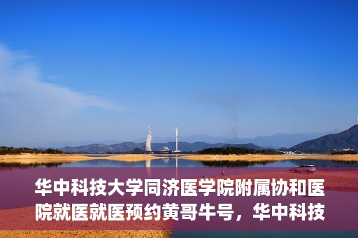 华中科技大学同济医学院附属协和医院就医就医预约黄哥牛号，华中科技大学同济医学院附属协和医院就医预约攻略，黄哥牛号助您轻松挂号就医