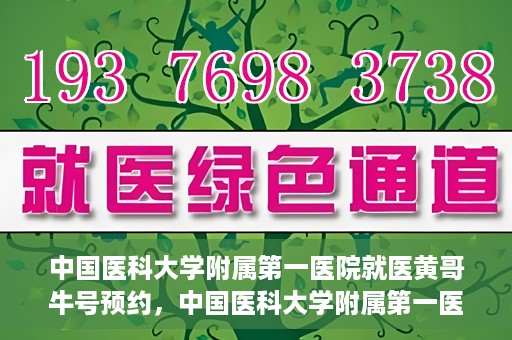 中国医科大学附属第一医院就医黄哥牛号预约，中国医科大学附属第一医院就医黄哥牛号预约攻略详解