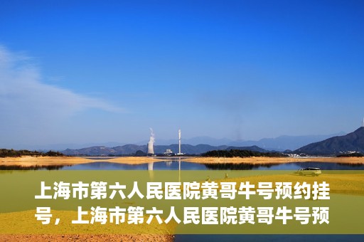 上海市第六人民医院黄哥牛号预约挂号，上海市第六人民医院黄哥牛号预约挂号攻略，轻松挂号，便捷就医体验