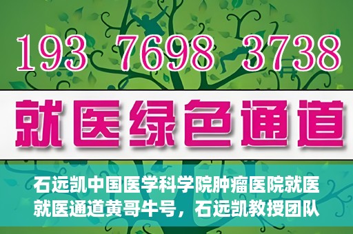 石远凯中国医学科学院肿瘤医院就医就医通道黄哥牛号，石远凯教授团队就医通道，中国医学科学院肿瘤医院就医指南及黄哥牛号解析