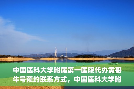 中国医科大学附属第一医院代办黄哥牛号预约联系方式，中国医科大学附属第一医院预约挂号联系方式，黄哥牛号预约服务解析