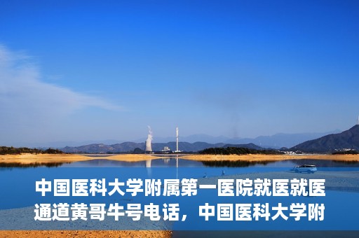 中国医科大学附属第一医院就医就医通道黄哥牛号电话，中国医科大学附属第一医院就医通道解析，黄哥牛号电话及其服务详解