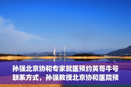 孙强北京协和专家就医预约黄哥牛号联系方式，孙强教授北京协和医院预约挂号指南，专家黄哥牛号联系方式揭秘