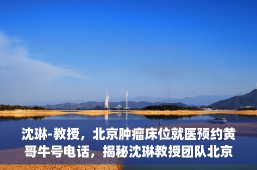 沈琳-教授，北京肿瘤床位就医预约黄哥牛号电话，揭秘沈琳教授团队北京肿瘤床位预约背后的故事，黄哥牛号电话就医攻略