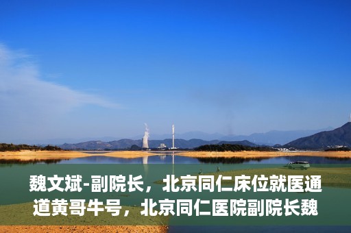 魏文斌-副院长，北京同仁床位就医通道黄哥牛号，北京同仁医院副院长魏文斌揭秘，床位就医通道背后的黄哥牛号故事