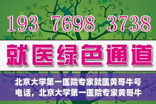 北京大学第一医院专家就医黄哥牛号电话，北京大学第一医院专家黄哥牛号电话就医指南