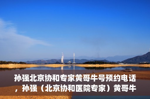 孙强北京协和专家黄哥牛号预约电话，孙强（北京协和医院专家）黄哥牛号预约电话及挂号攻略