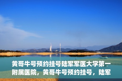 黄哥牛号预约挂号陆军军医大学第一附属医院，黄哥牛号预约挂号，陆军军医大学第一附属医院就医新体验