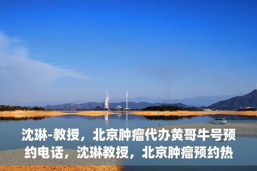 沈琳-教授，北京肿瘤代办黄哥牛号预约电话，沈琳教授，北京肿瘤预约热线解读及黄哥牛号预约电话揭秘