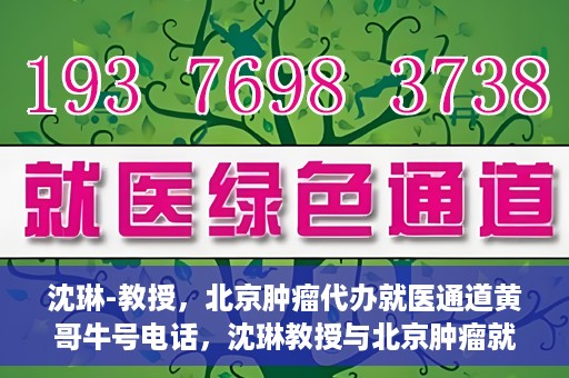 沈琳-教授，北京肿瘤代办就医通道黄哥牛号电话，沈琳教授与北京肿瘤就医通道，黄哥牛号电话背后的故事