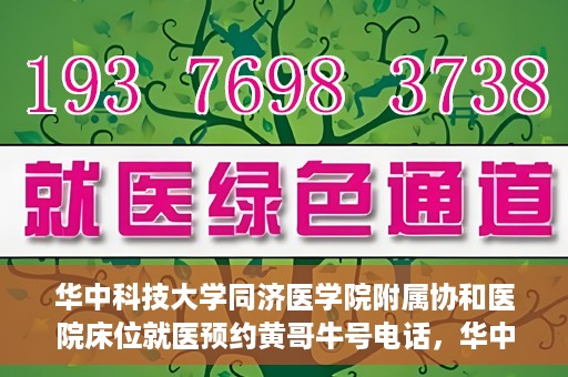 华中科技大学同济医学院附属协和医院床位就医预约黄哥牛号电话，华中科技大学同济医学院附属协和医院床位预约热线及黄哥牛号电话揭秘