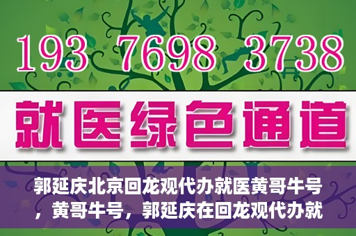 郭延庆北京回龙观代办就医黄哥牛号，黄哥牛号，郭延庆在回龙观代办就医的便捷之路