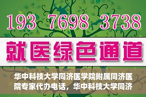华中科技大学同济医学院附属同济医院专家代办电话，华中科技大学同济医学院附属同济医院专家预约电话服务解析
