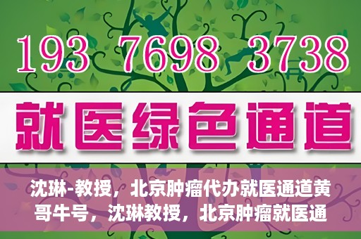沈琳-教授，北京肿瘤代办就医通道黄哥牛号，沈琳教授，北京肿瘤就医通道背后的黄哥牛号传奇