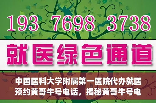 中国医科大学附属第一医院代办就医预约黄哥牛号电话，揭秘黄哥牛号电话，中国医科大学附属第一医院预约就医代办服务详解
