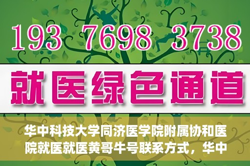 华中科技大学同济医学院附属协和医院就医就医黄哥牛号联系方式，华中科技大学同济医学院附属协和医院就医指南，黄哥牛号联系方式揭秘