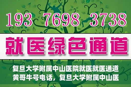 复旦大学附属中山医院就医就医通道黄哥牛号电话，复旦大学附属中山医院就医通道解析，黄哥牛号电话详解与就医指南