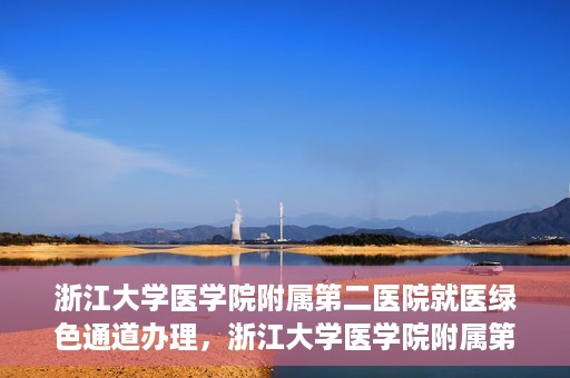 浙江大学医学院附属第二医院就医绿色通道办理，浙江大学医学院附属第二医院就医绿色通道办理详解与指南