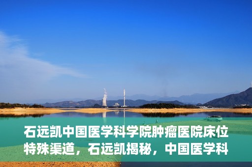 石远凯中国医学科学院肿瘤医院床位特殊渠道，石远凯揭秘，中国医学科学院肿瘤医院床位特殊渠道揭秘
