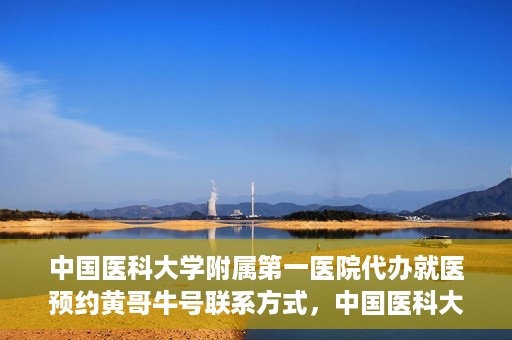 中国医科大学附属第一医院代办就医预约黄哥牛号联系方式，中国医科大学附属第一医院预约就医代办服务，黄哥牛号联系方式及预约指南