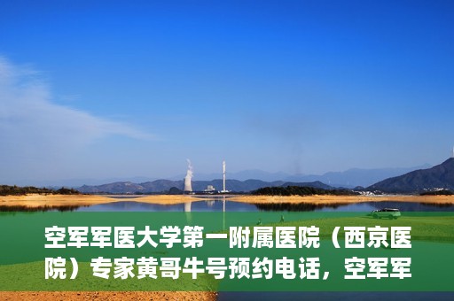 空军军医大学第一附属医院（西京医院）专家黄哥牛号预约电话，空军军医大学第一附属医院黄哥专家号预约电话及诊疗服务详解