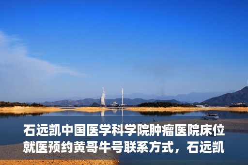 石远凯中国医学科学院肿瘤医院床位就医预约黄哥牛号联系方式，石远凯教授，中国医学科学院肿瘤医院床位预约指南与联系方式揭秘