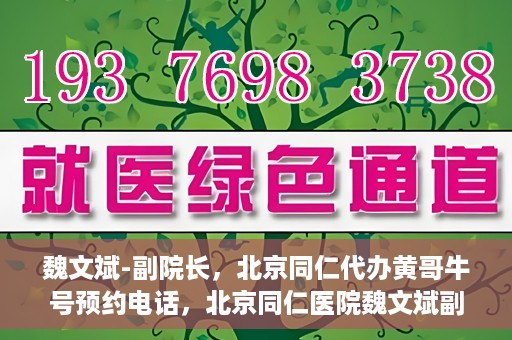 魏文斌-副院长，北京同仁代办黄哥牛号预约电话，北京同仁医院魏文斌副院长，黄哥牛号预约电话解读与代办服务解析