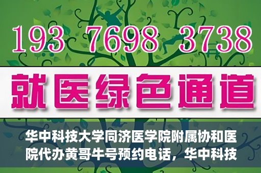 华中科技大学同济医学院附属协和医院代办黄哥牛号预约电话，华中科技大学同济医学院附属协和医院代办预约电话，黄哥牛号预约专线揭秘