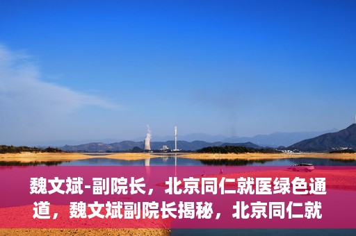 魏文斌-副院长，北京同仁就医绿色通道，魏文斌副院长揭秘，北京同仁就医绿色通道独家报道