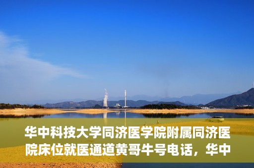 华中科技大学同济医学院附属同济医院床位就医通道黄哥牛号电话，华中科技大学同济医院床位就医通道咨询热线揭秘，黄哥牛号电话一览无余
